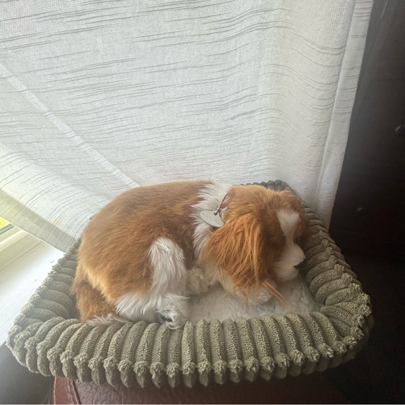 Perfect petzzz cavalier Spaniel realistic sleeping dog . - Picture 8 of 8